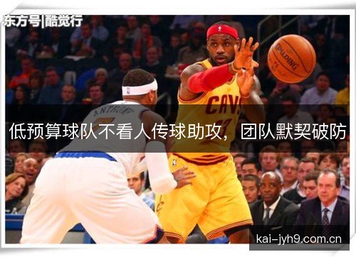 低预算球队不看人传球助攻，团队默契破防